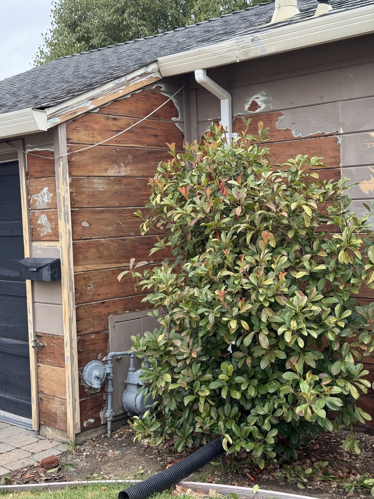 Ranch Home Exterior Transformation photo 5