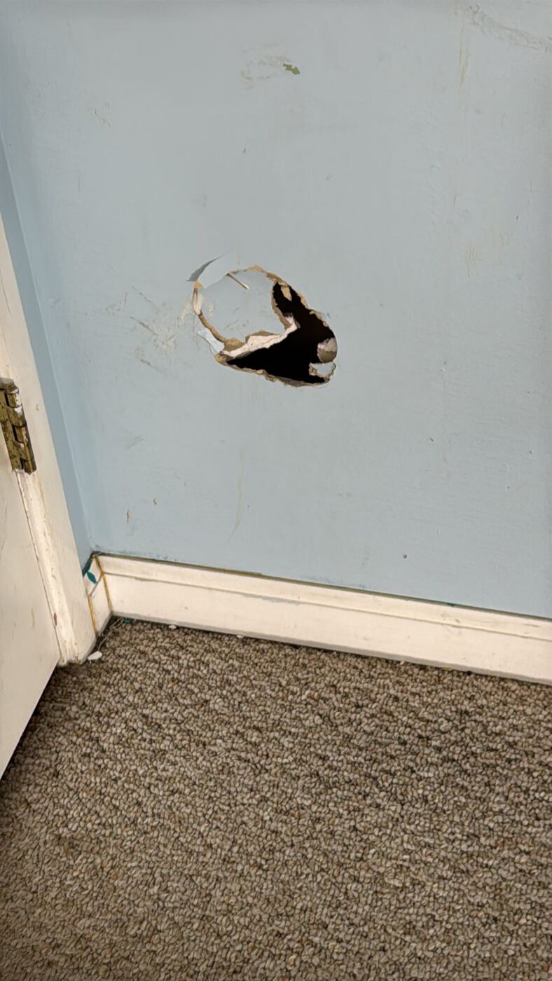 Interior Bedroom Repaint with Drywall Repair photo 9