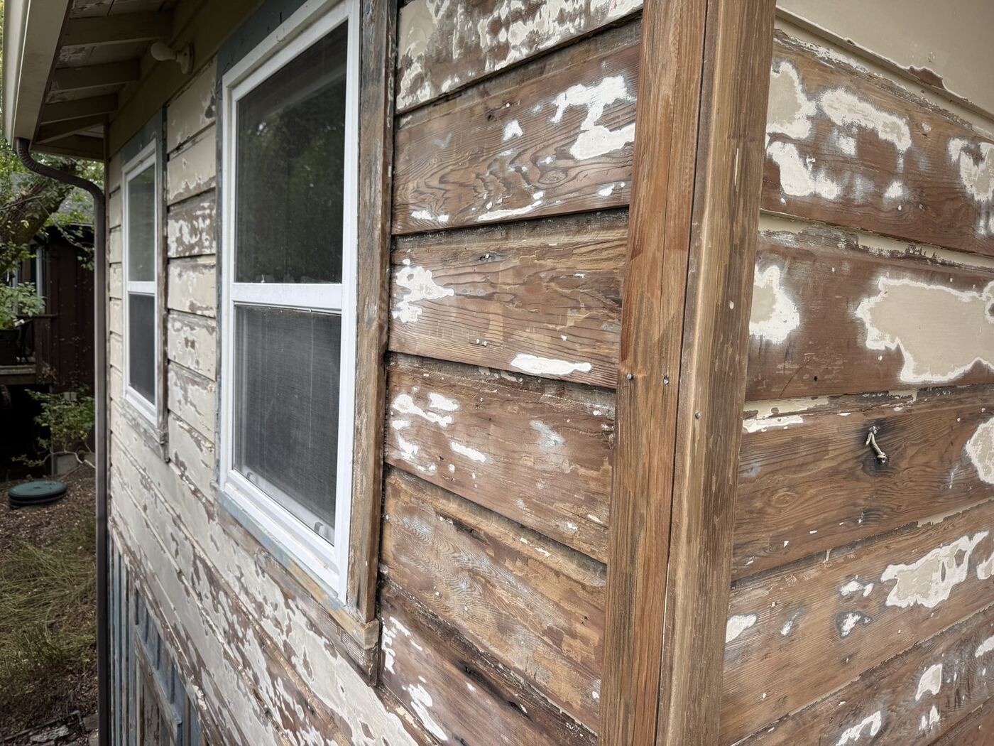 Weathered Siding Restoration & Exterior Repaint photo 8